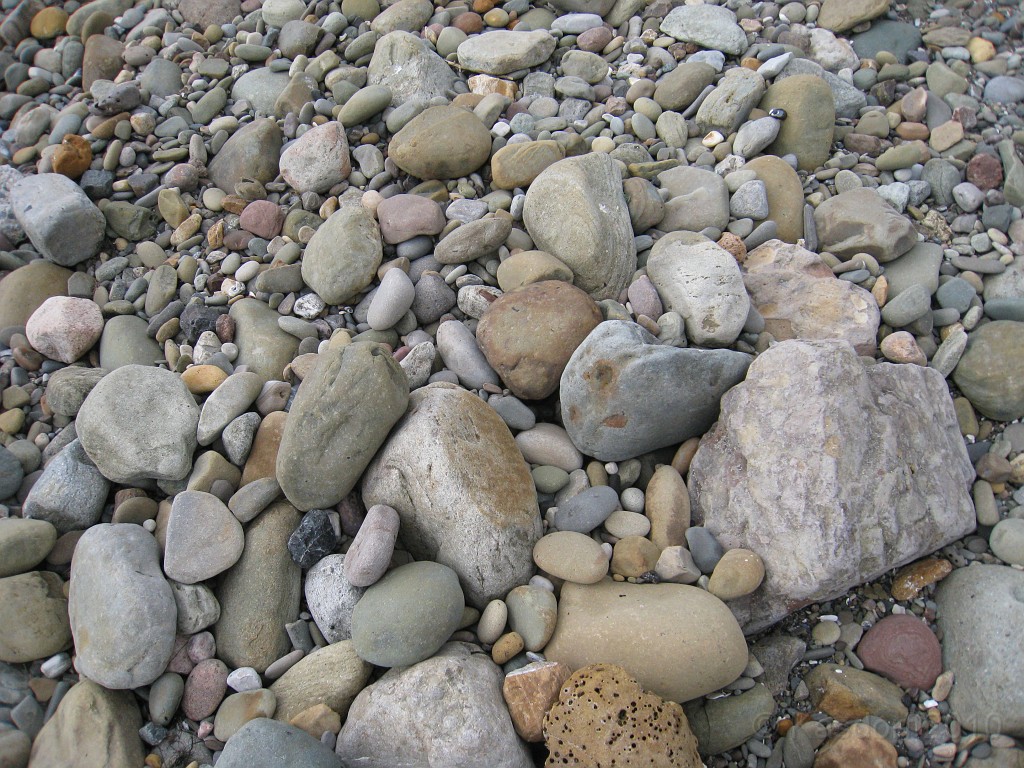 Carpinteria California 2010-02 0160.jpg - A trip to Carpinteria California. Surfing, food, beachs.